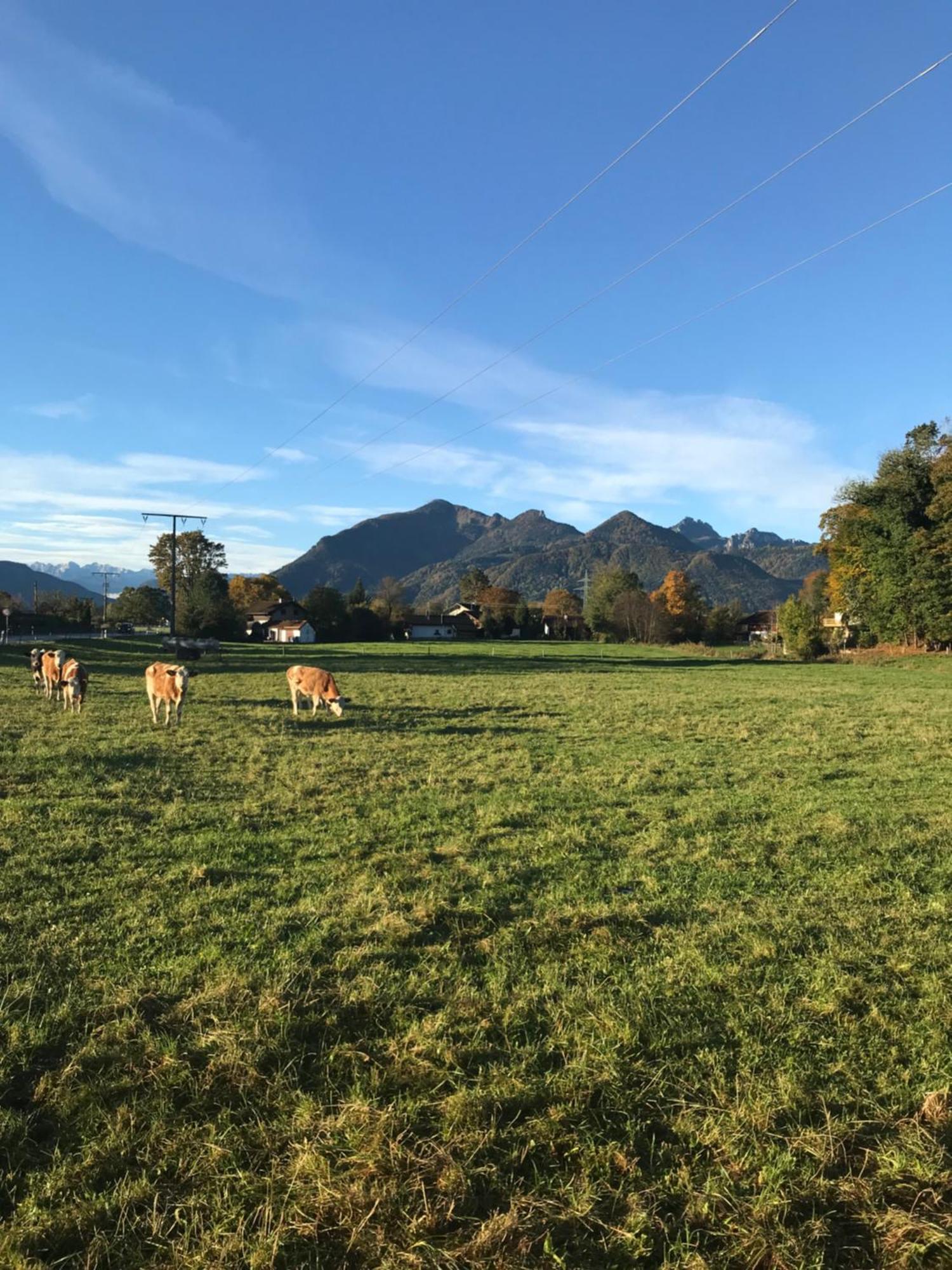 Ferienhaus Westerbuchberg Übersee Dış mekan fotoğraf